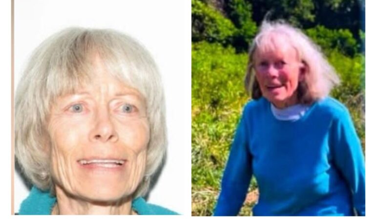 You are currently viewing Carolyn Taylor Obituary News: Loudoun County Mourns the Reported Passing of Carolyn Taylor, 81