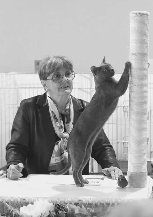 You are currently viewing Pam DelaBar Obituary, Death, Tampere, Finland Purrfect Paws Catwalk Former CFA President
